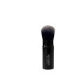 Travel Blush Brush