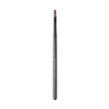 Lip Brush